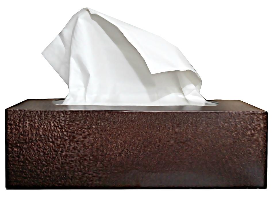Handkerchief Cold Cry