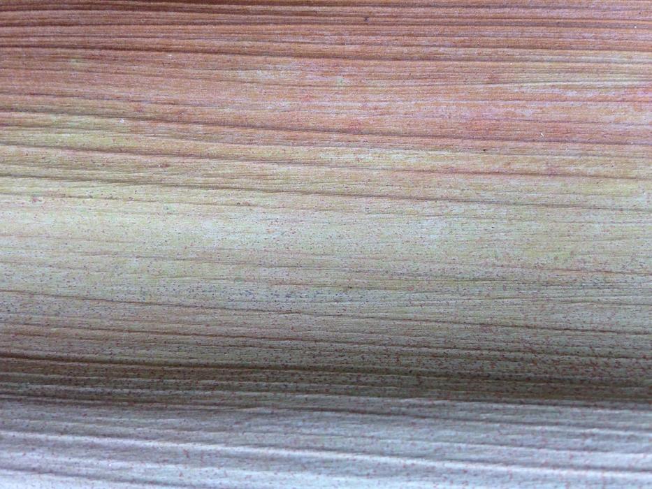 Dry Palm Frond Natural Colour
