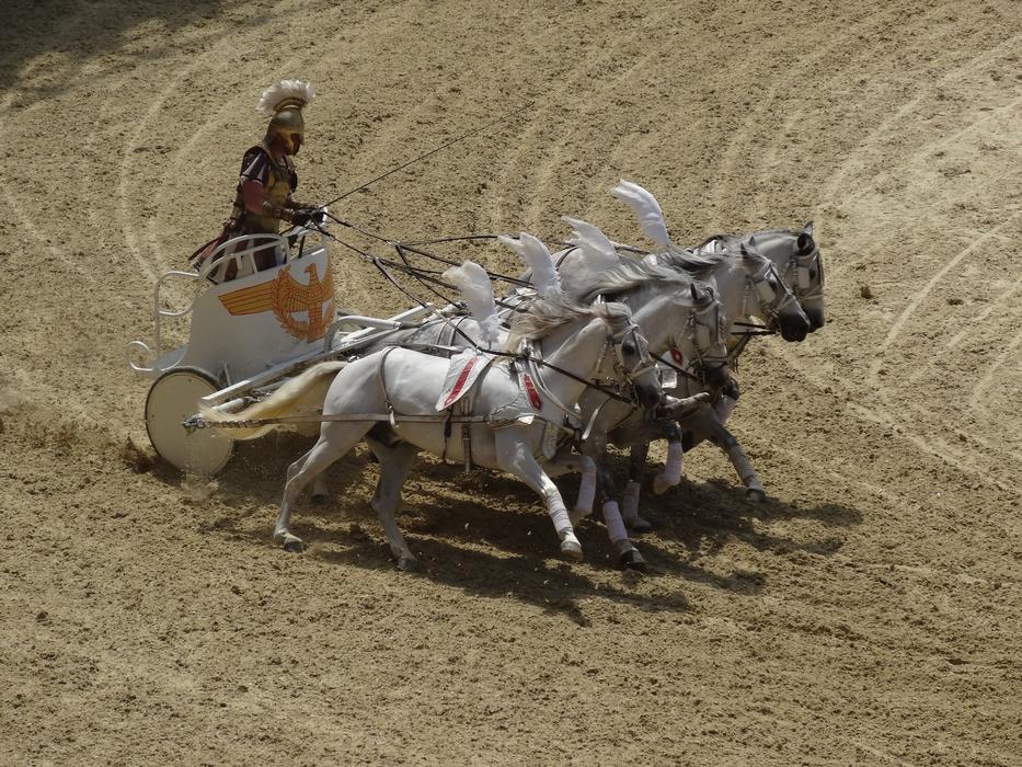 man rides in a chariot with horses