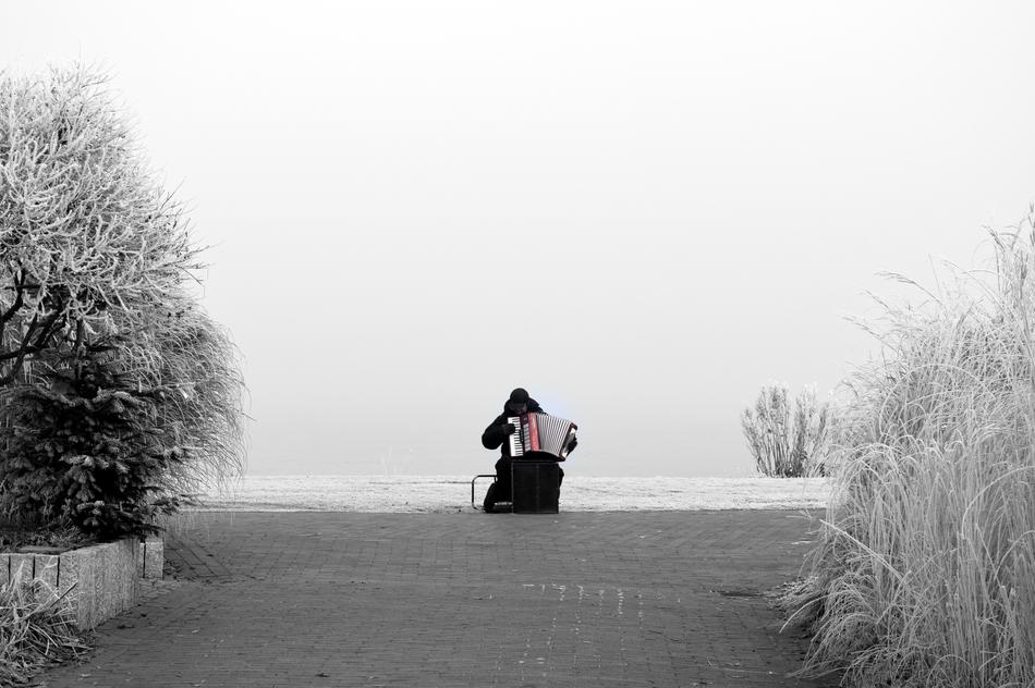 Frost Winter Cold Accordion