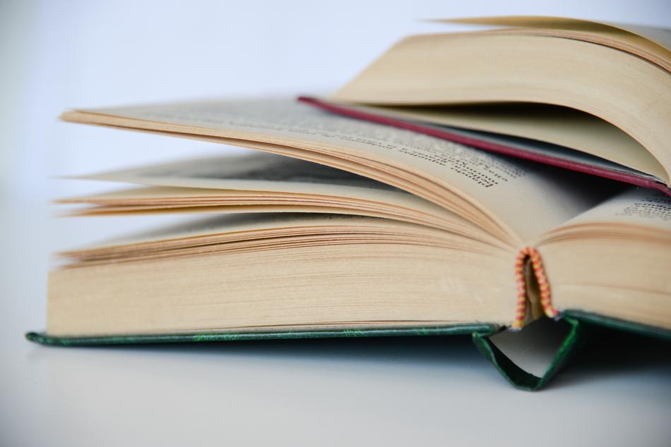 closeup view of book pages