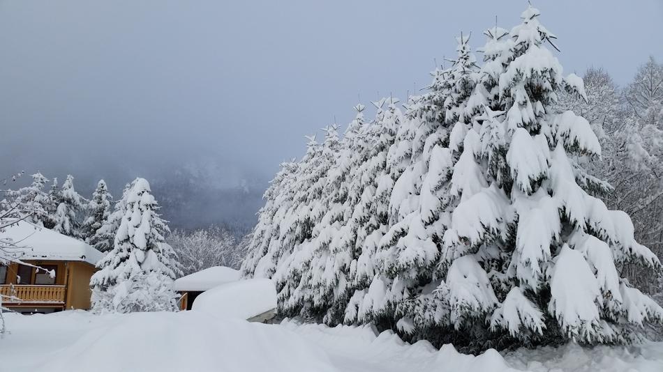 Winter Landscapes Landscape