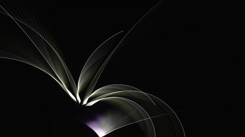 fractal palm leaf pattern drawing