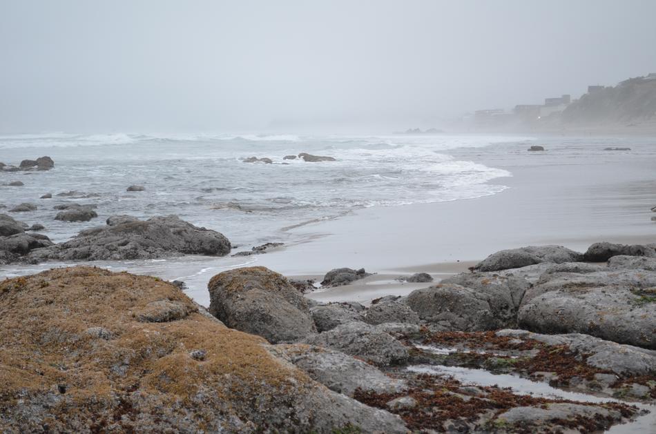 rocks on the sea