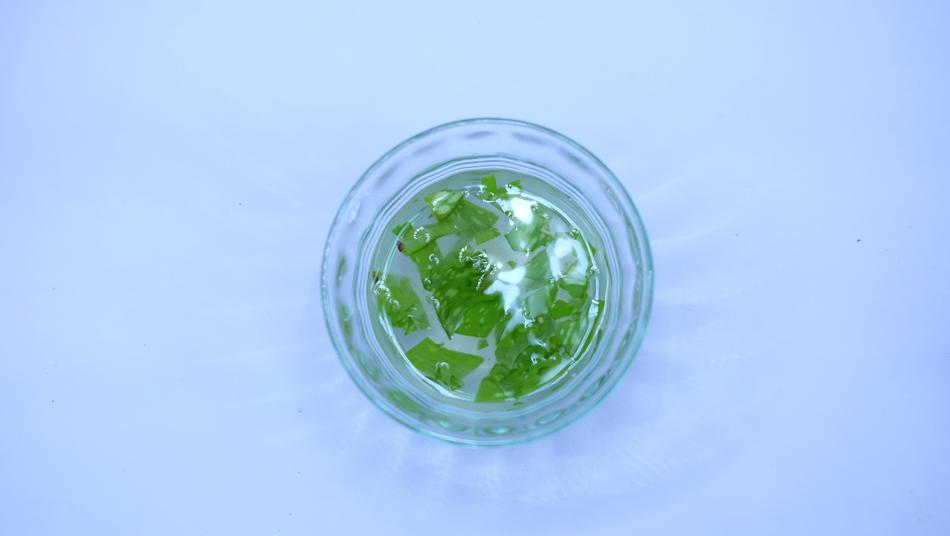 Aloe Vera Herbal