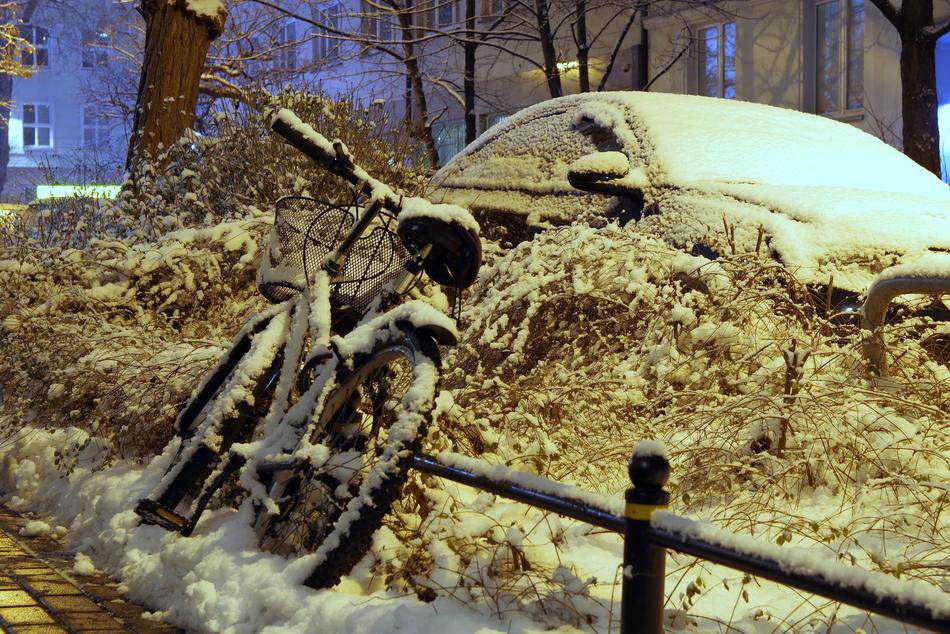 Winter Blizzard Snow