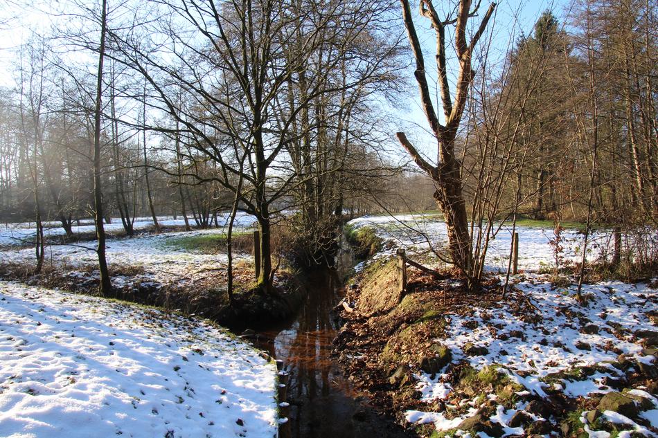Snow Winter Landscape