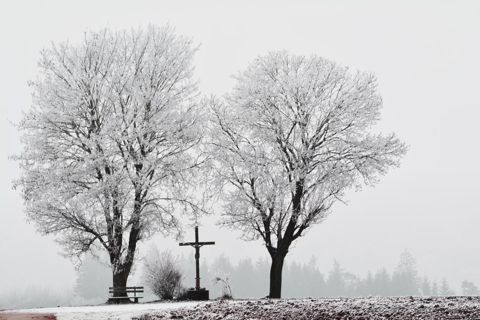 iron cross near the winter trees