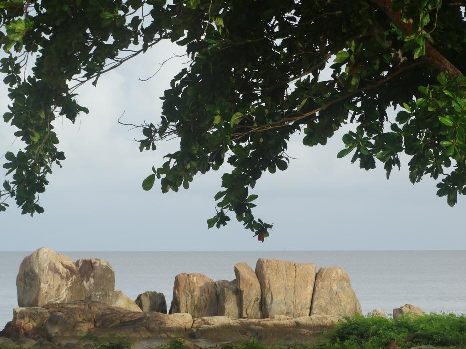 rocks by the sea on the shore