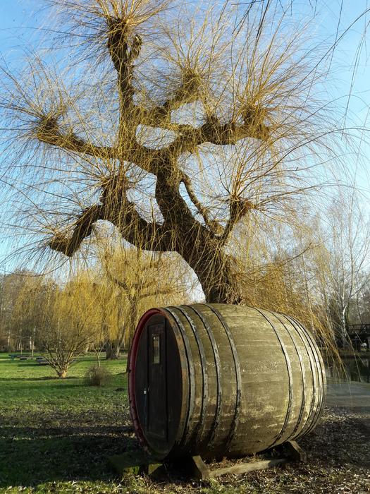 Barrel on Cucumbers Pasture