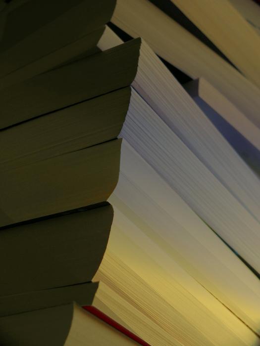 Beautiful corner of the books in colorful dusk