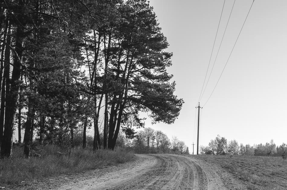 Road Loneliness Bankrupt