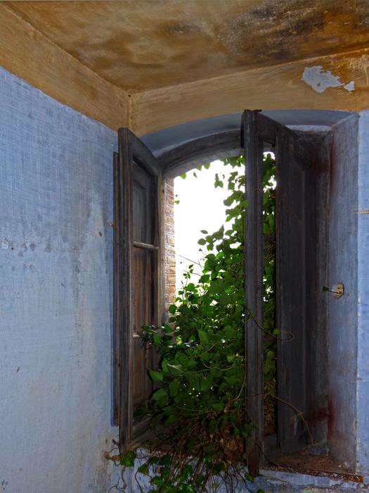 Window Abandoned building