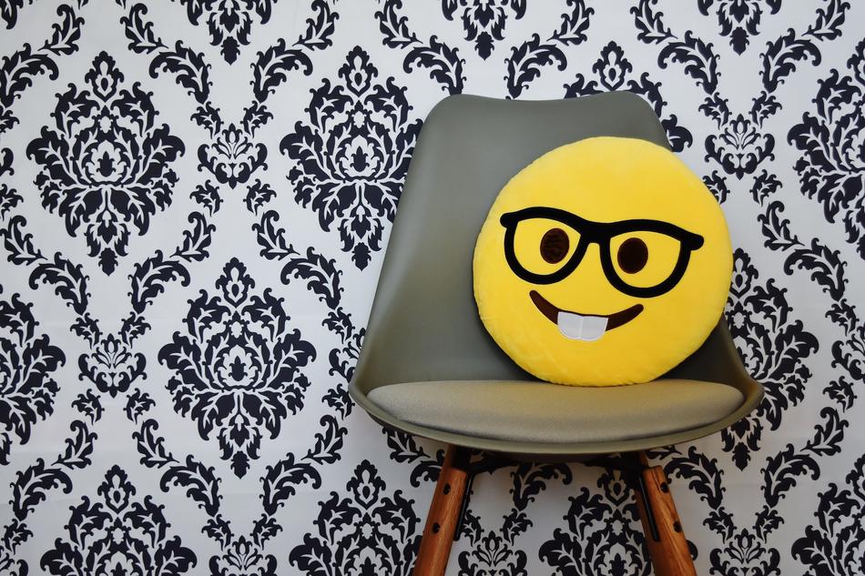 the cushion on the chair
