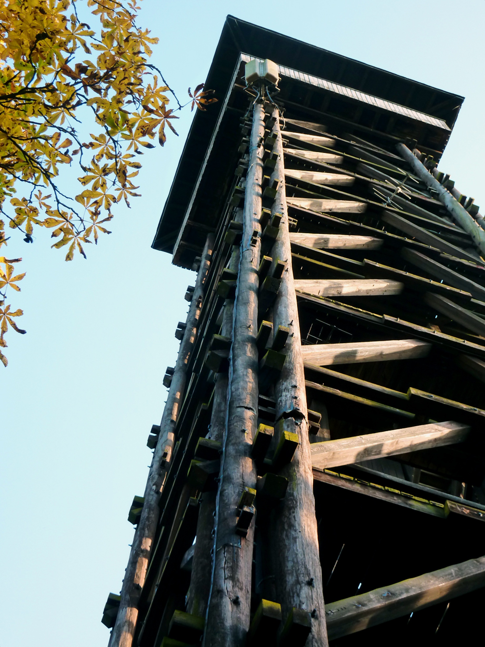 Tower Wooden Observation free image download