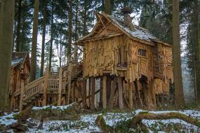 old wooden house in the forest