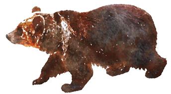 goodly bear savage beast