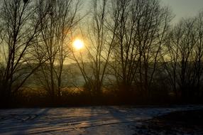 Winter Evening Snow