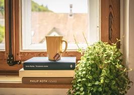 cup of tea on a stack of books on the windowsill