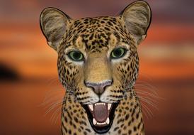 Leopard-Head 3d drawing