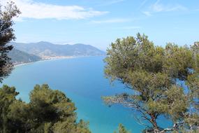 blue sea by the mountains with trees