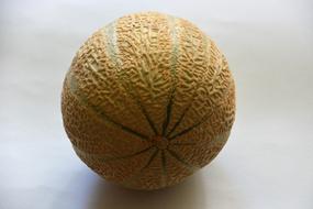 sweet melon on the table