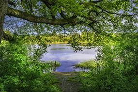 Lake Forest Nature