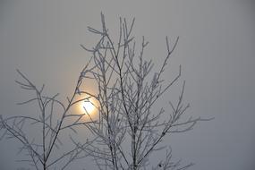 It'S A Nasty Day Sun Sunrise