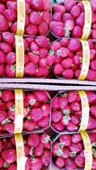 Strawberries in a basket