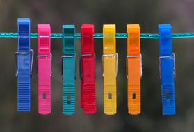 Needles Tender Colors Colorful