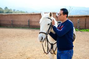 white horse with man