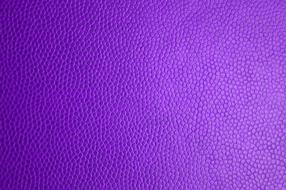 Purple Skin Leather Texture drawing