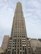 New York Perspective