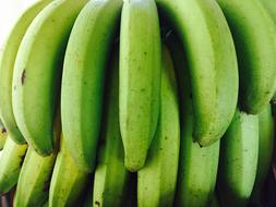 green banana harvest