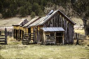 Old abandoned wooden barns and Corals