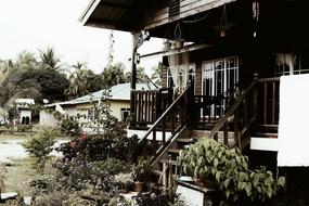 Wooden house, among the green plants, near the other house