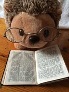 soft toy as an explorer with glasses