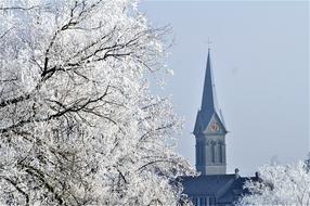 hoarfrost on tree branches and aged Steeple at sky