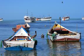 Boat Ship Fishing