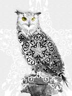 image of an owl with a ritual pattern