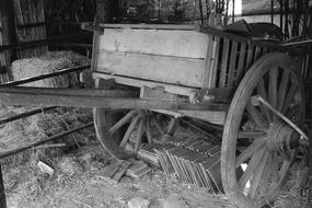 Cart Oxcart Horse Drawn Carriage