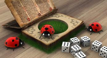 ladybug secrets book contents bugs