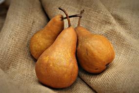 Delicious sweet pears