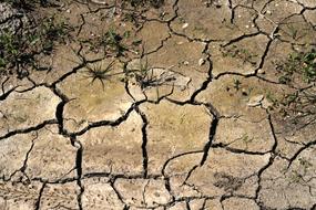 Drought Field Cracks