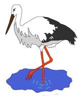 bird pond stork drawing