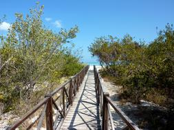 bridge leading to the sea