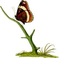 painted brown butterfly on a green stem