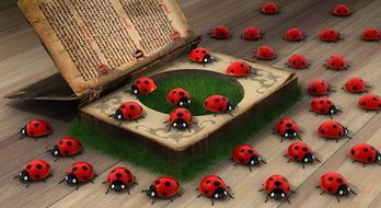 ladybugs a lot on the book