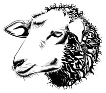 barnyard face farm head drawing
