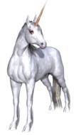 unicorn fantasy fairy tale white